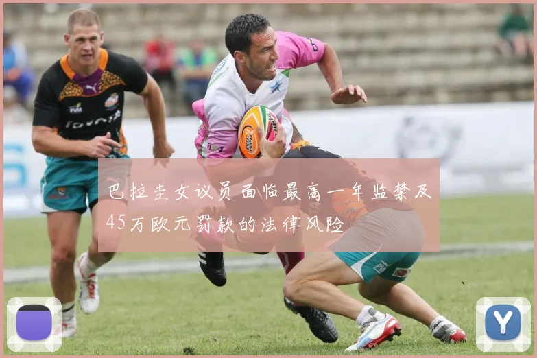 巴拉圭女议员面临最高一年监禁及45万欧元罚款的法律风险