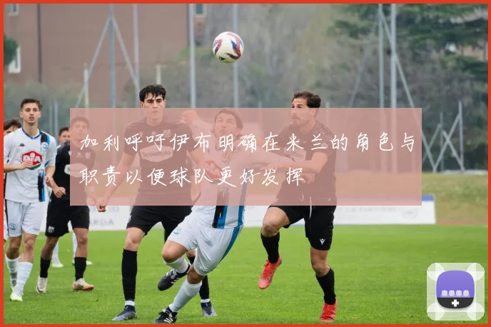 加利呼吁伊布明确在米兰的角色与职责以便球队更好发挥